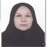 حبیبی نیا