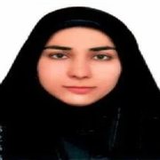 حسن زاده محمدی