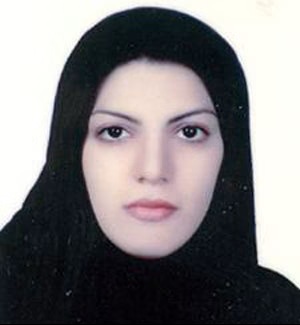 وکیل وکیل پژوهنده
