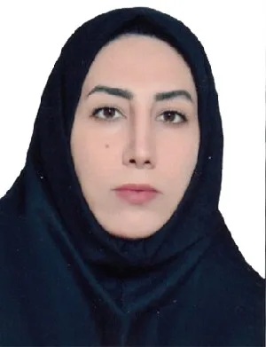 وکیل وکیل سرکارآرانی