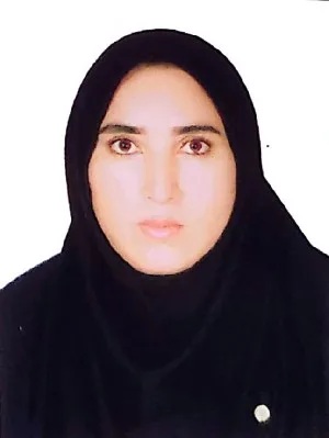 وکیل وکیل جمالی