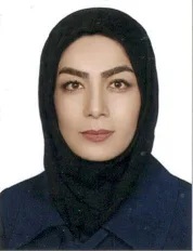 وکیل وکیل یاوری