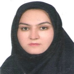 وکیل وکیل شکوری