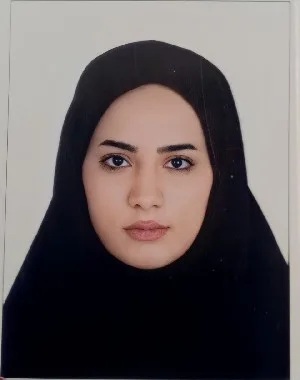 وکیل وکیل احمدی