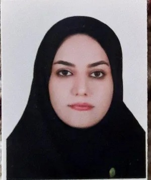 وکیل وکیل سادات حسینی