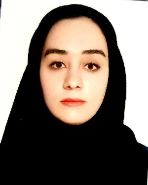 وکیل وکیل صفری