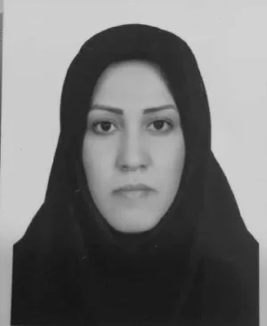 وکیل وکیل سیفی پور