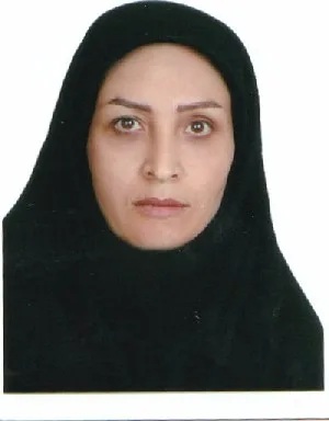 وکیل وکیل بادی زاده